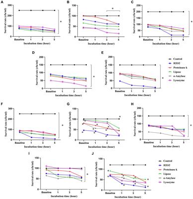 Investigating the antimicrobial and anti-inflammatory effects of Lactobacillus and Bifidobacterium spp. on cariogenic and periodontitis pathogens